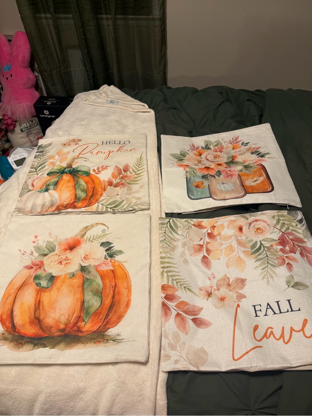 Autumn Pumpkin & Floral Pillow Covers
Fall, Harvest